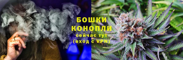 spice Гусев