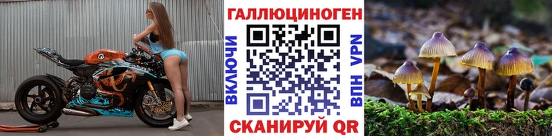 Купить закладки  Исилькуль  Псилоцибиновые грибы Psilocybine cubensis 